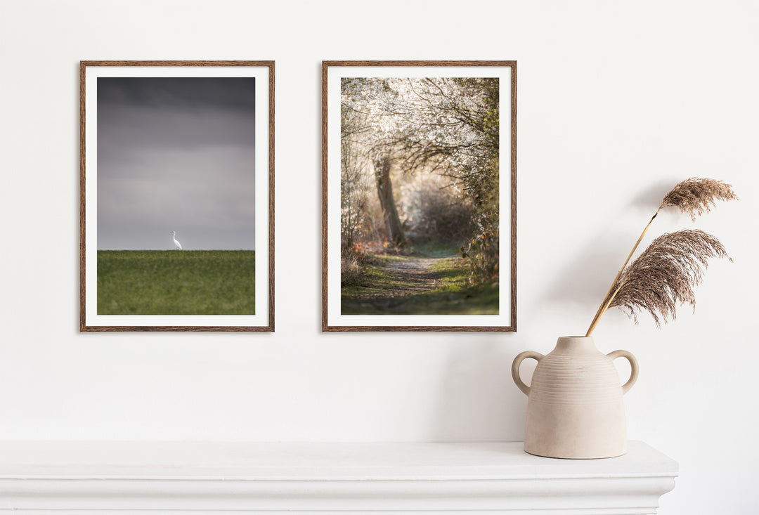 Silberreiher und ein Weg im Frühling, Fine Art Prints, Wall decor, Thomas Frenken