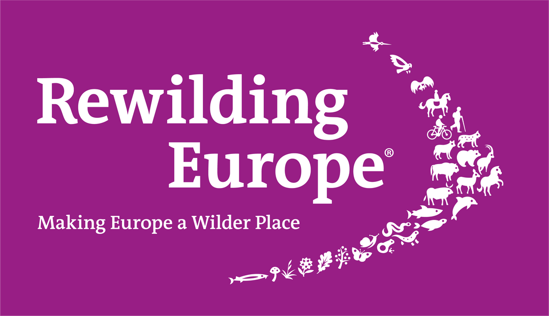 Making Europe A Wilder Place, Fine Art Prints by Thomas Frenken, limited Edition 